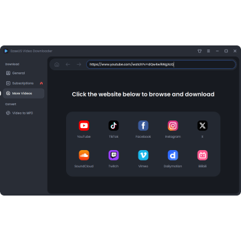 Program Ease­US Video Downloader⁠